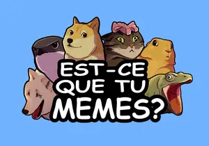 Est-ce que tu mèmes ?